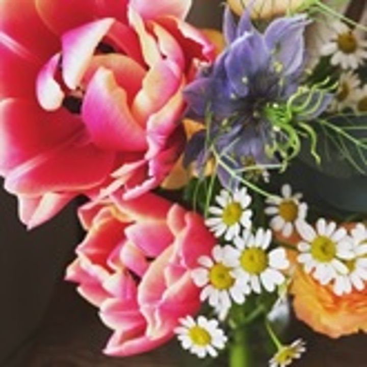 お部屋の中に春のお花を飾りましょう！！の記事|センター南横浜市都筑区|ロコっち