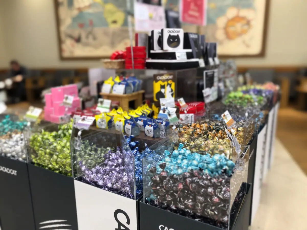 期間限定！『CACAO CAT』のチョコレートは蔦屋書店港北ミナモ店にある