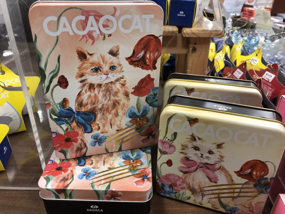 期間限定！『CACAO CAT』のチョコレートは蔦屋書店港北ミナモ店にある