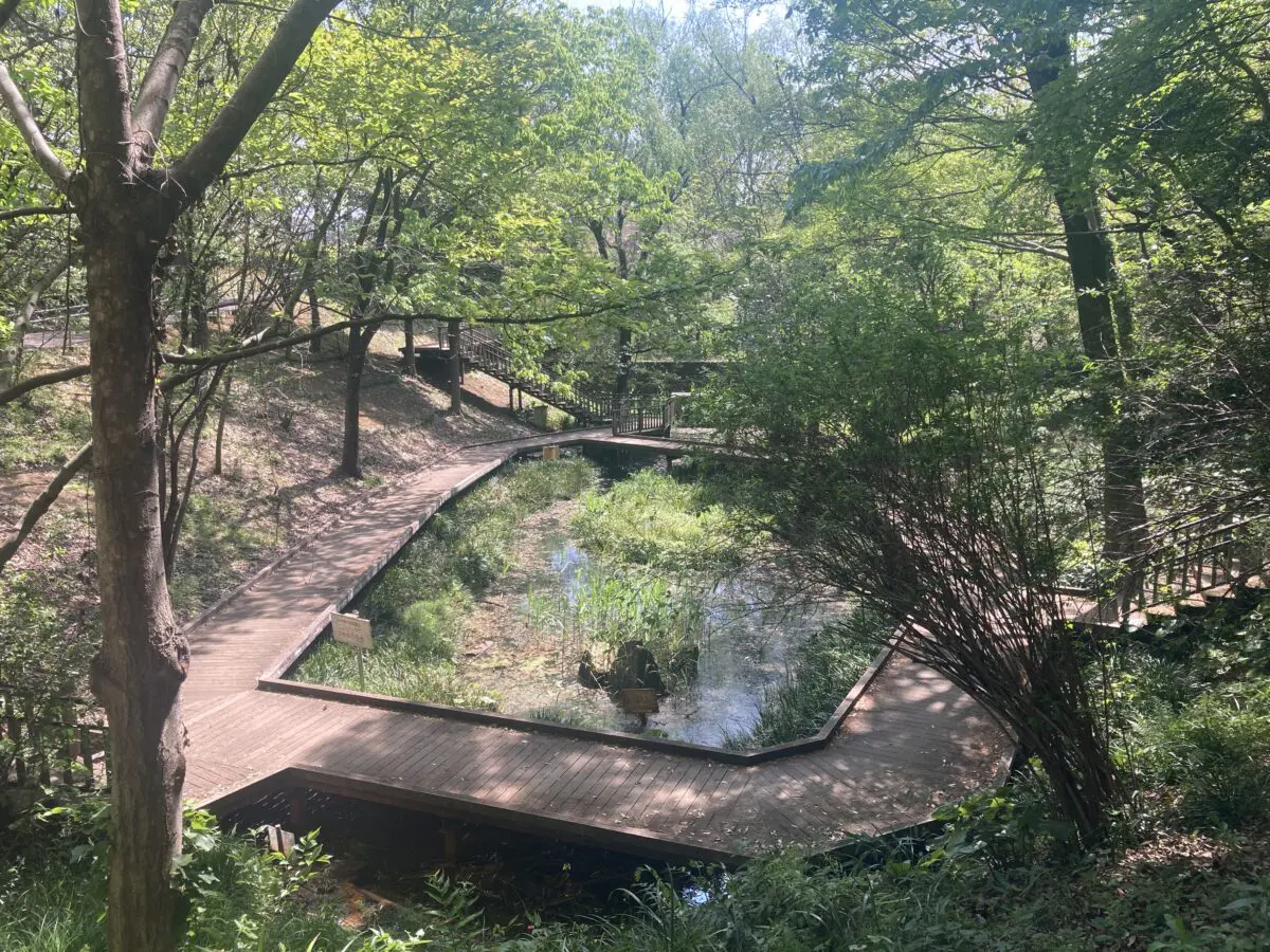 たまの月経散歩「良品」 たまの月経散歩「良品」 たまの月経散歩 角川書店