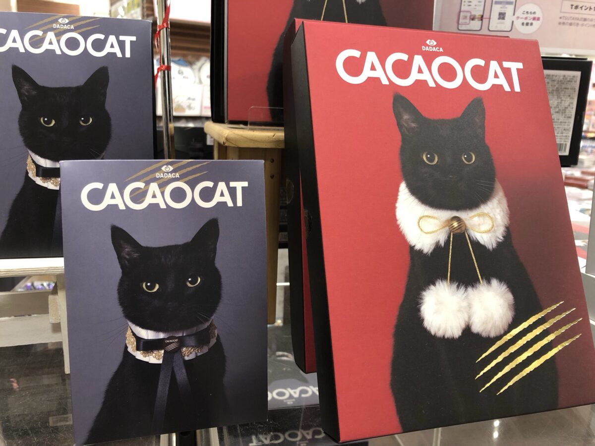 期間限定！『CACAO CAT』のチョコレートは蔦屋書店港北ミナモ店にある